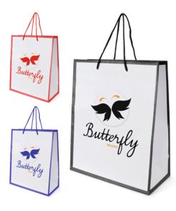 Newquay Medium Glossy Paper Bag