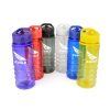 Tarn Coloured 550Ml Sports Bottle