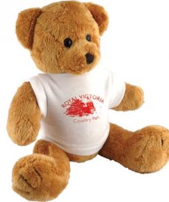 Robbie Bear With White T-Shirt 10 Inch