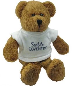 Scraggy Bear With White T-Shirt 9 Inch