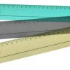 Cognitive Learning Ruler/Bookmark