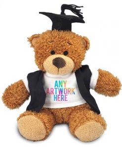 17Cm Anne Bear In Graduate Outfit