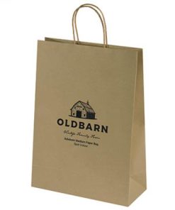 Ashdown Medium Paper Gift Bag - Kraft - 150Gsm